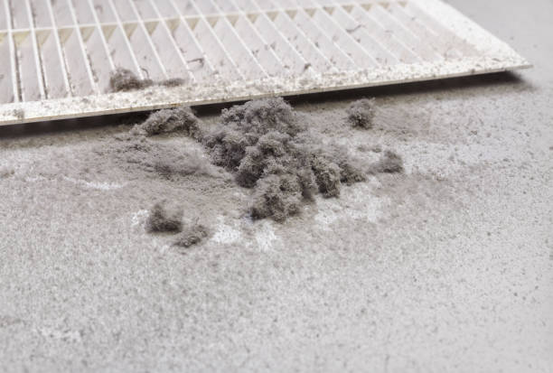 Best HVAC Duct Inspection Services  in Stanley, WI