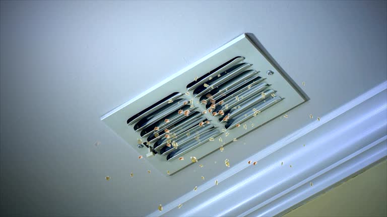 Best Residential Air Duct Cleaning  in Stanley, WI